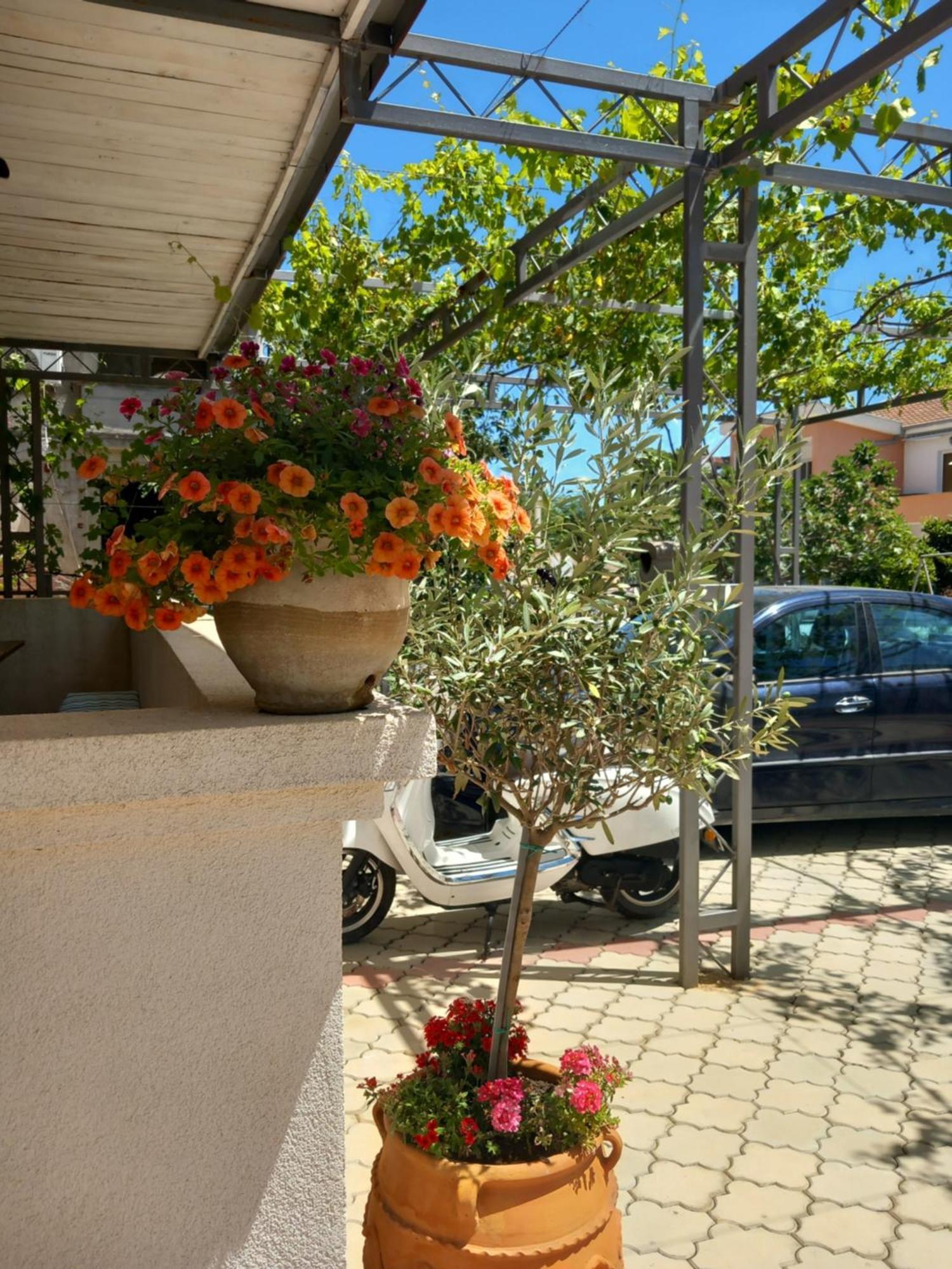 Vila Nina Donji Stoj Улцинь Экстерьер фото